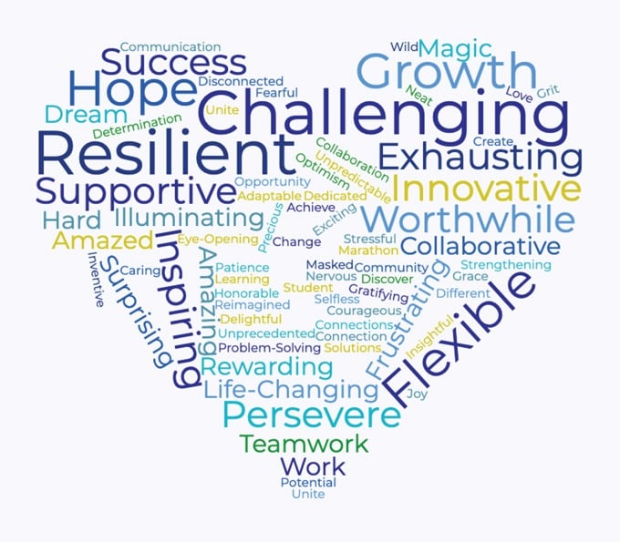 Groves faculty 2020-2021 word cloud